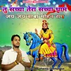 About Tu Sachha Tera Sachha Dham Jai Jai Baba Mohan Ram Song